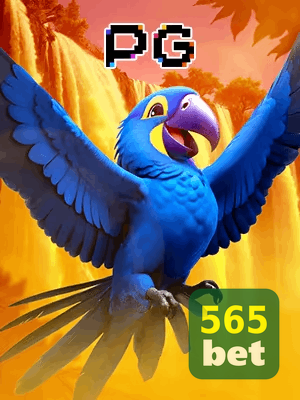 565BET bônus — cashback 15 por cento e níveis VIP