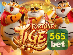 Guia install APK 565BET BR