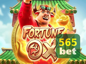 565BET login — painel de entrada no app oficial